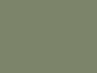 Colorbond Pale Eucalypt Swatch
