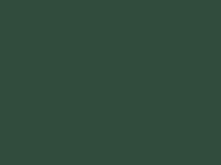 Colorbond Cottage Green Swatch